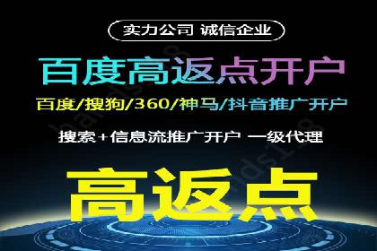 经典案例：SEM代运营服务公司的成功之路